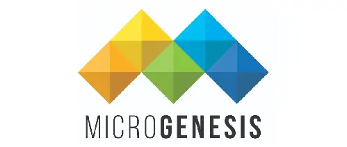 microgenesis